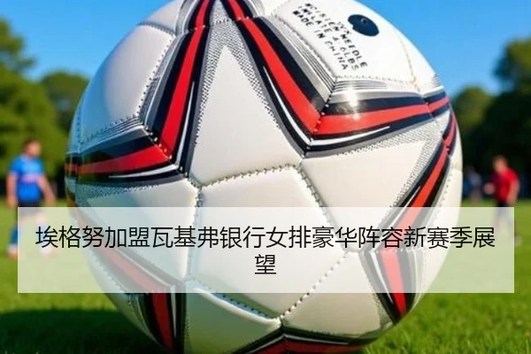 埃格努加盟瓦基弗银行女排豪华阵容新赛季展望