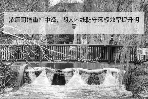 nong-mei-ge-zeng-zhong-da-zhong-feng-hu-ren-nei-xian-fang-shou-lan-ban-xiao-lv-ti-sheng-ming-xian-3-384.jpg