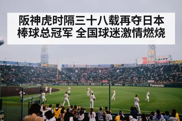 阪神虎时隔三十八载再夺日本棒球总冠军 全国球迷激情燃烧